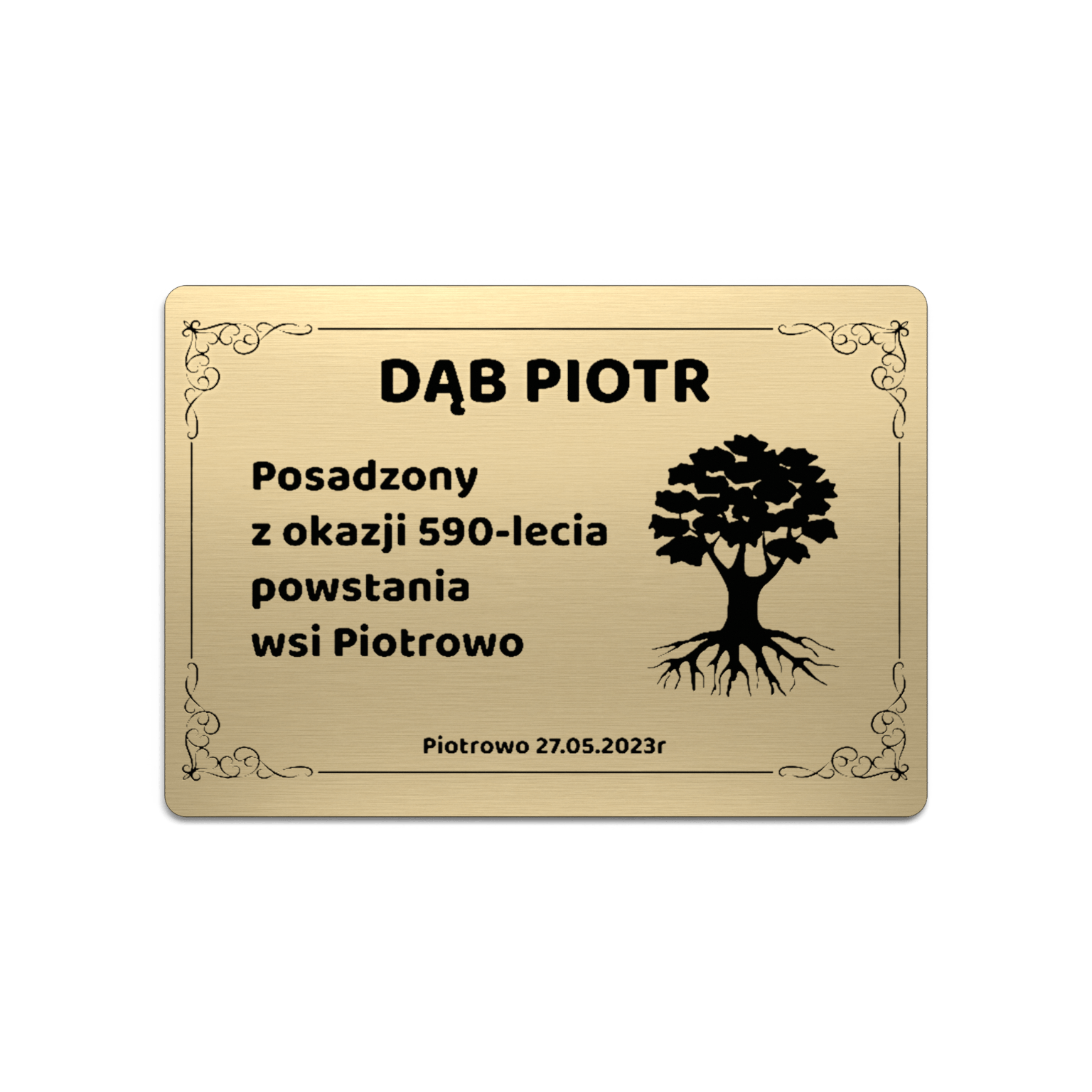 Złota tabliczka pamiątkowa przy dębie posadzonym na 590-lecie wsi, z ozdobną ramką i drzewem