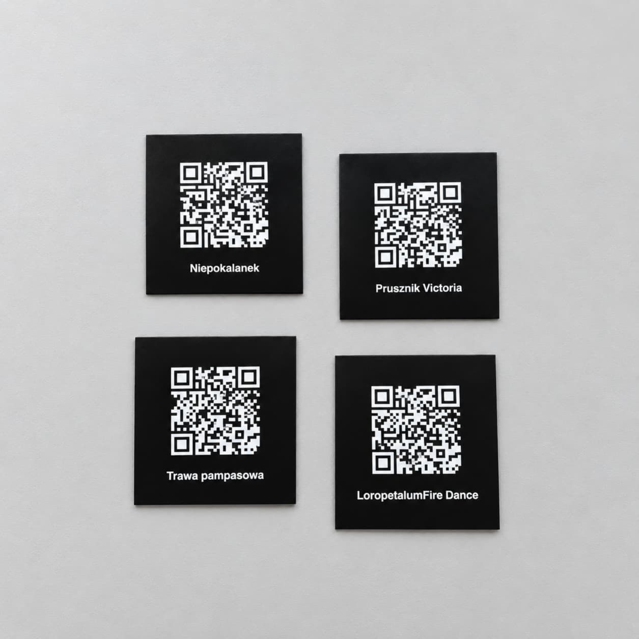 Czarne tabliczki z białymi kodami QR i nazwami roślin